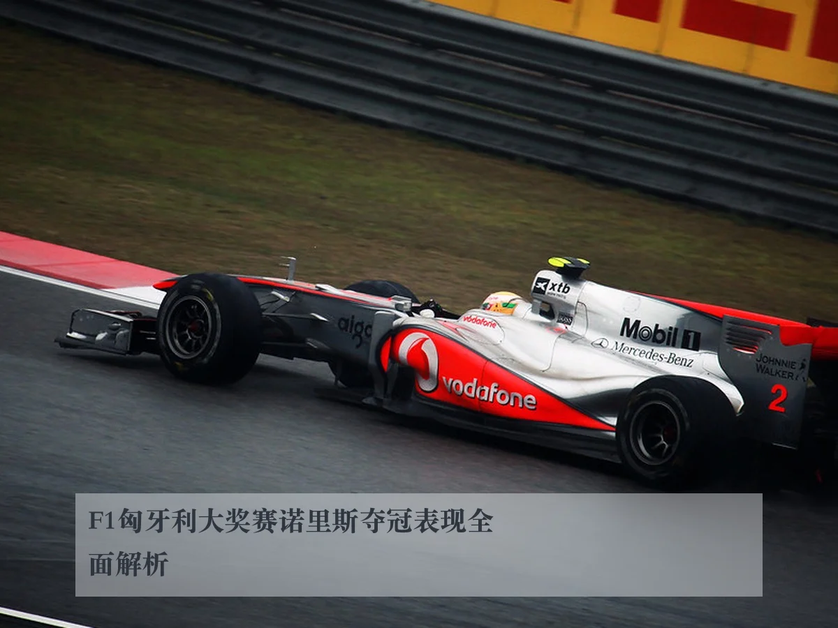 F1匈牙利大奖赛诺里斯夺冠表现全面解析