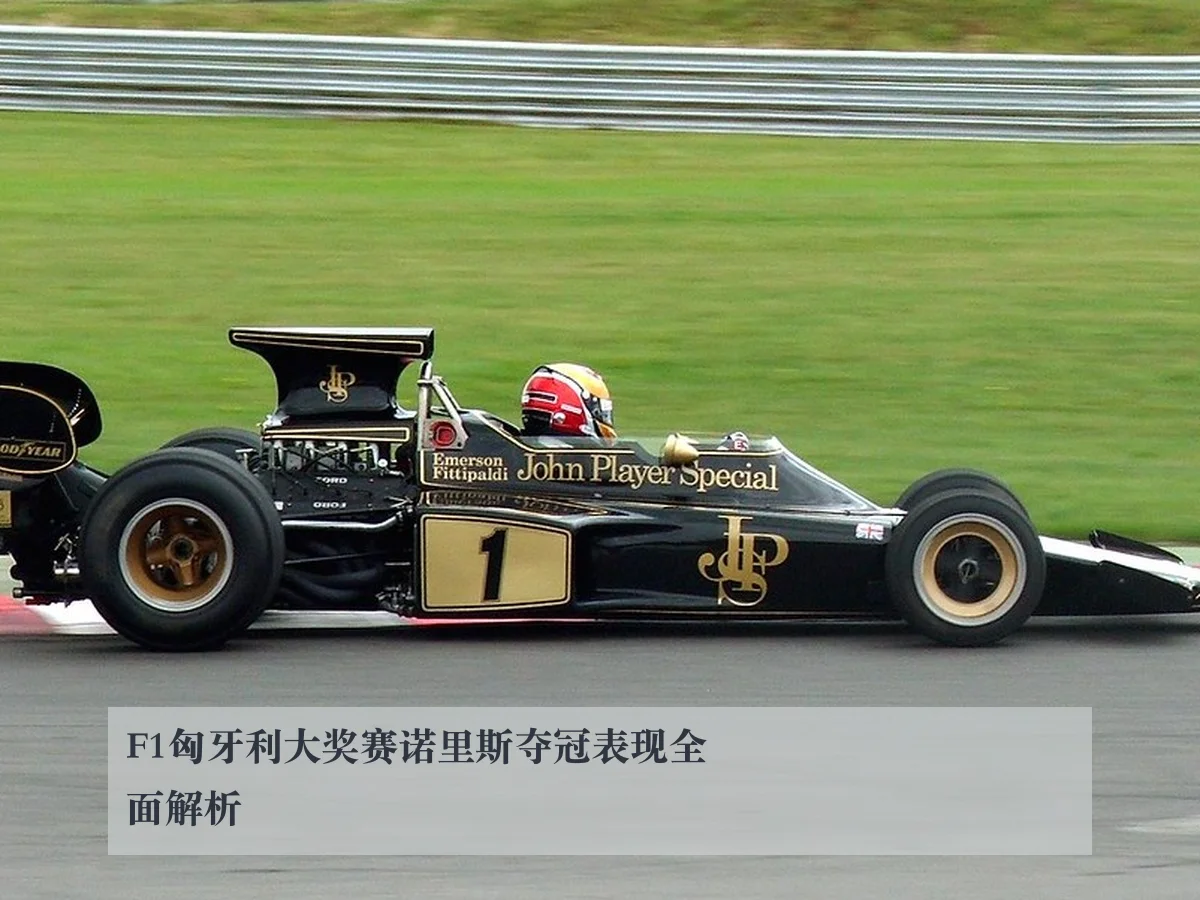 F1匈牙利大奖赛诺里斯夺冠表现全面解析